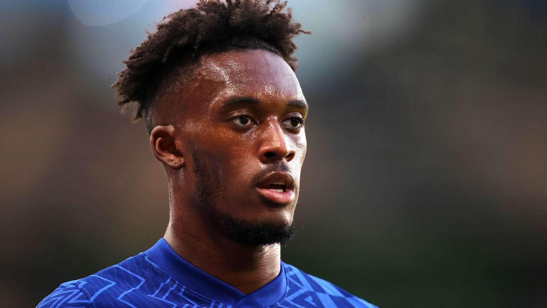 能会有所减 能会有所减