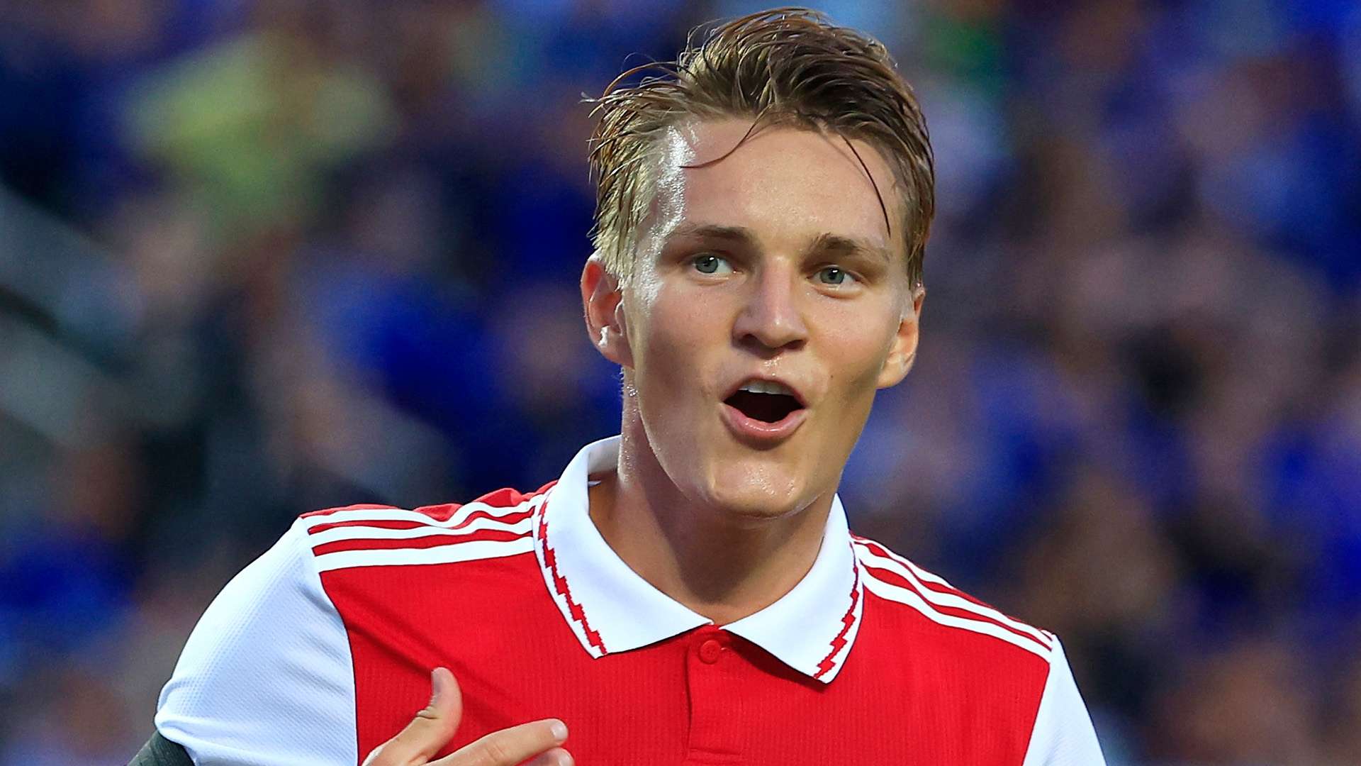 地进行球场 地进行球场