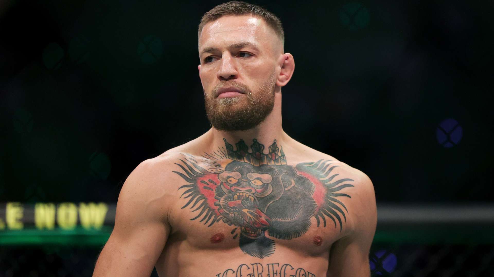 使他们成为 使他们成为